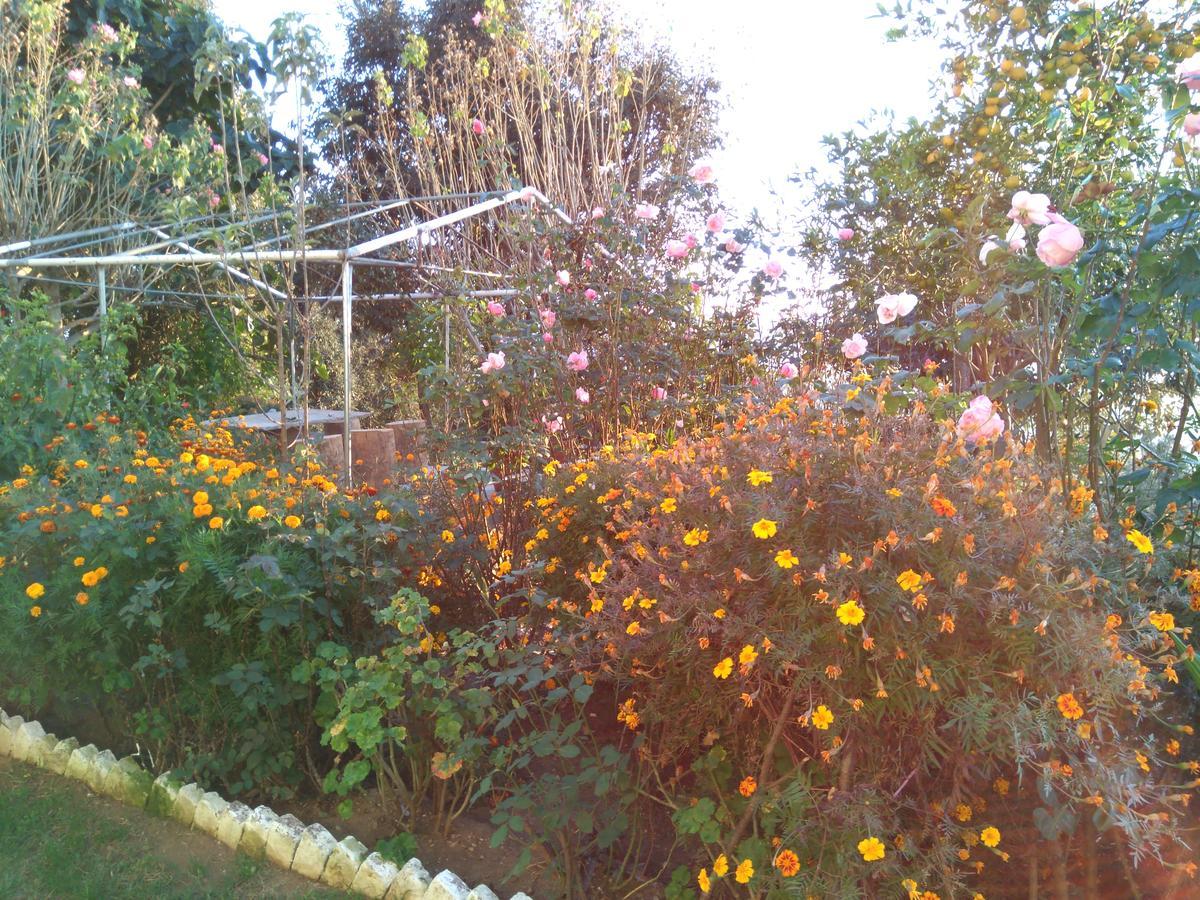 Maa Ananda Mayee Guest House Binsar Exterior photo